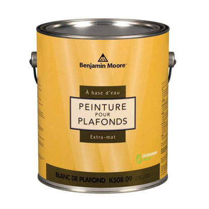 Image de Peinture pour plafonds  à base d'eau